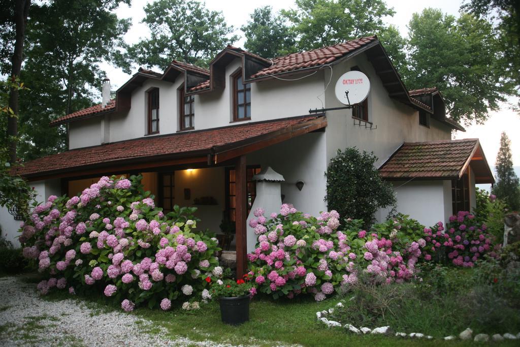 Beta Home Sapanca Pokój zdjęcie