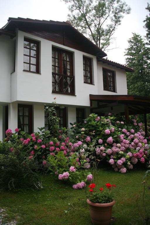 Beta Home Sapanca Pokój zdjęcie